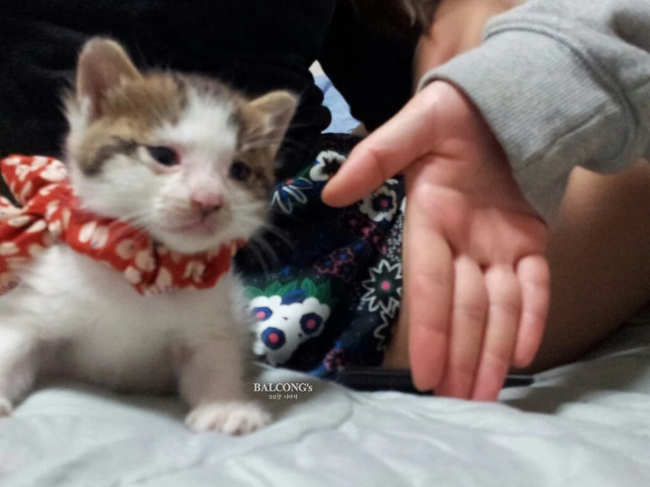 SE-b589a1e5-bf42-4c4d-b155-e0475e0a458b.jpg?type=w1