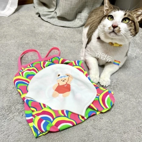 8F944087-FFF3-4652-AB43-A3FFF261E9C3.jpg?type=w466