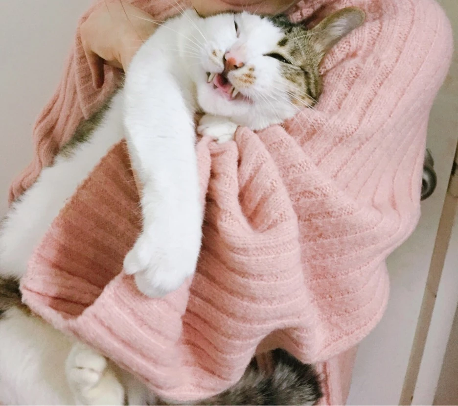 IMG_9430.JPG?type=w1