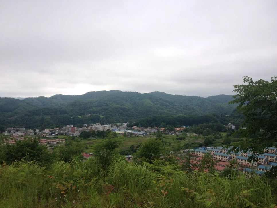 IMG_6469.JPG?type=w966