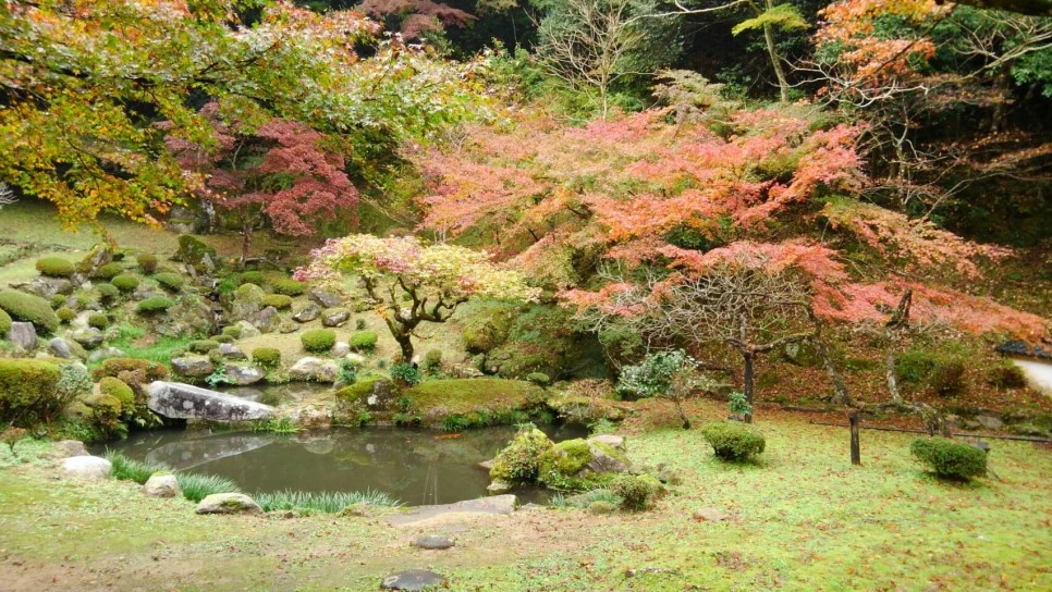 IMG_1646.JPG?type=w966