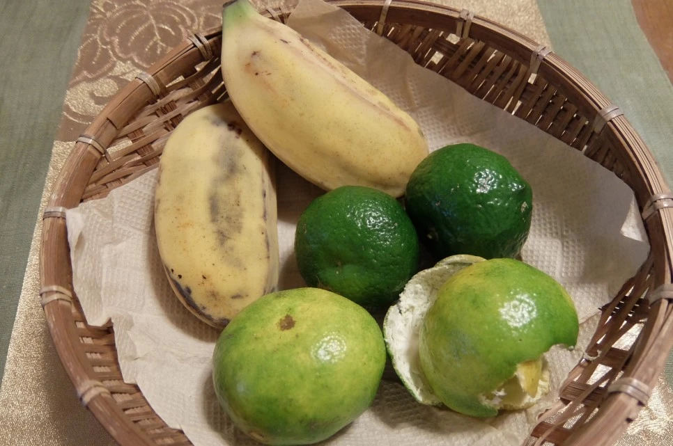 DSCF4258.JPG?type=w966