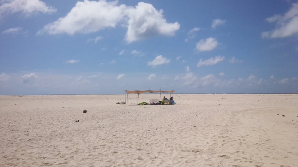 2016-08-27_10.40.11.jpg?type=w966