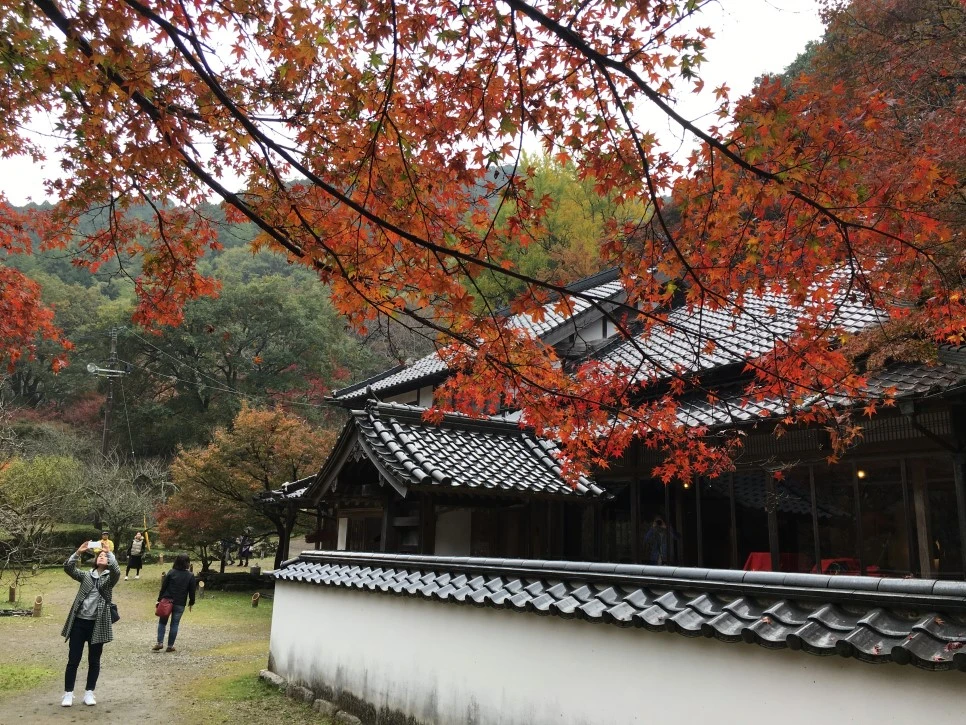 IMG_1616.JPG?type=w966