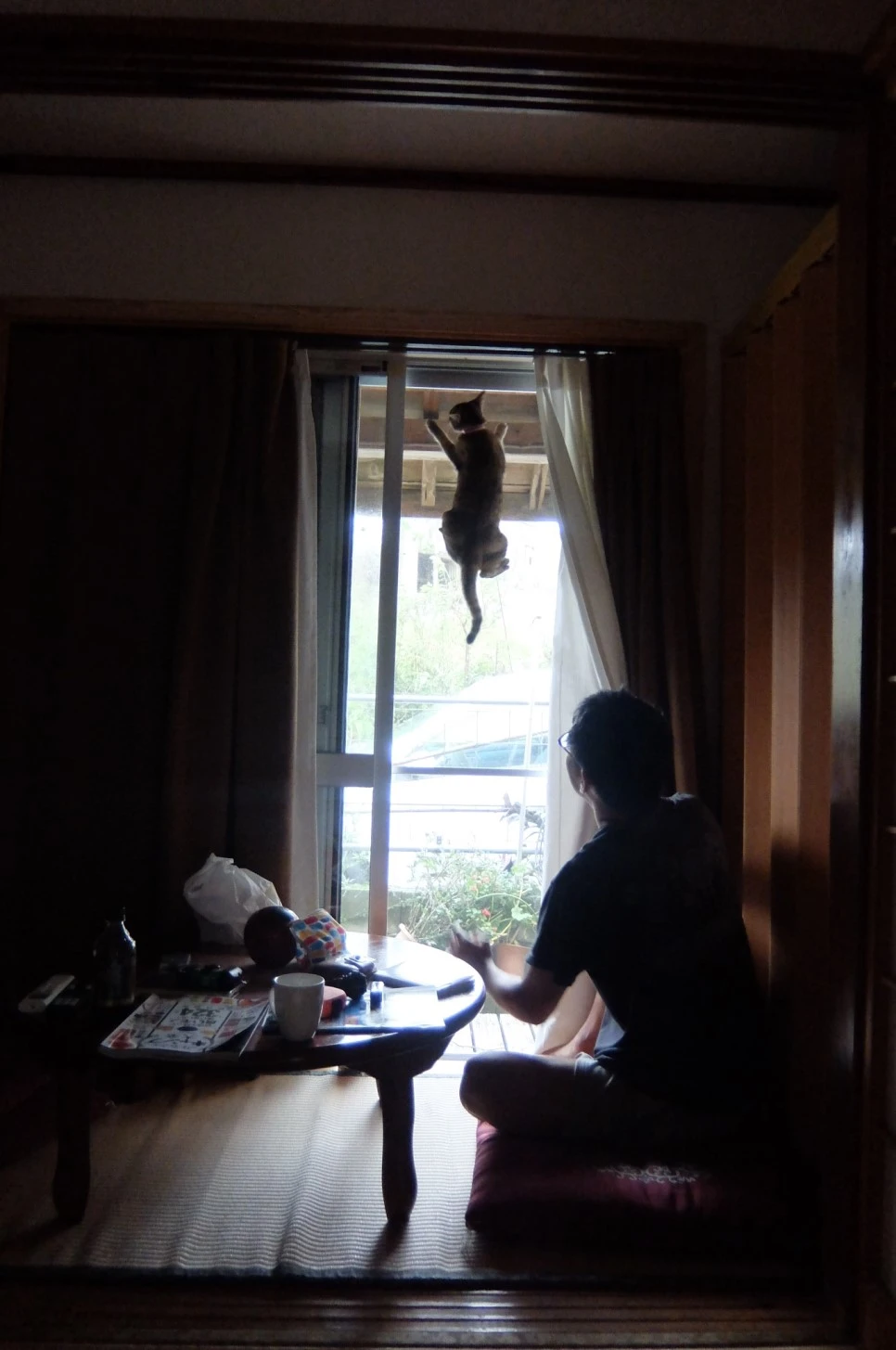 DSCF4275.JPG?type=w966