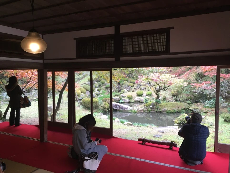 IMG_1591.JPG?type=w966