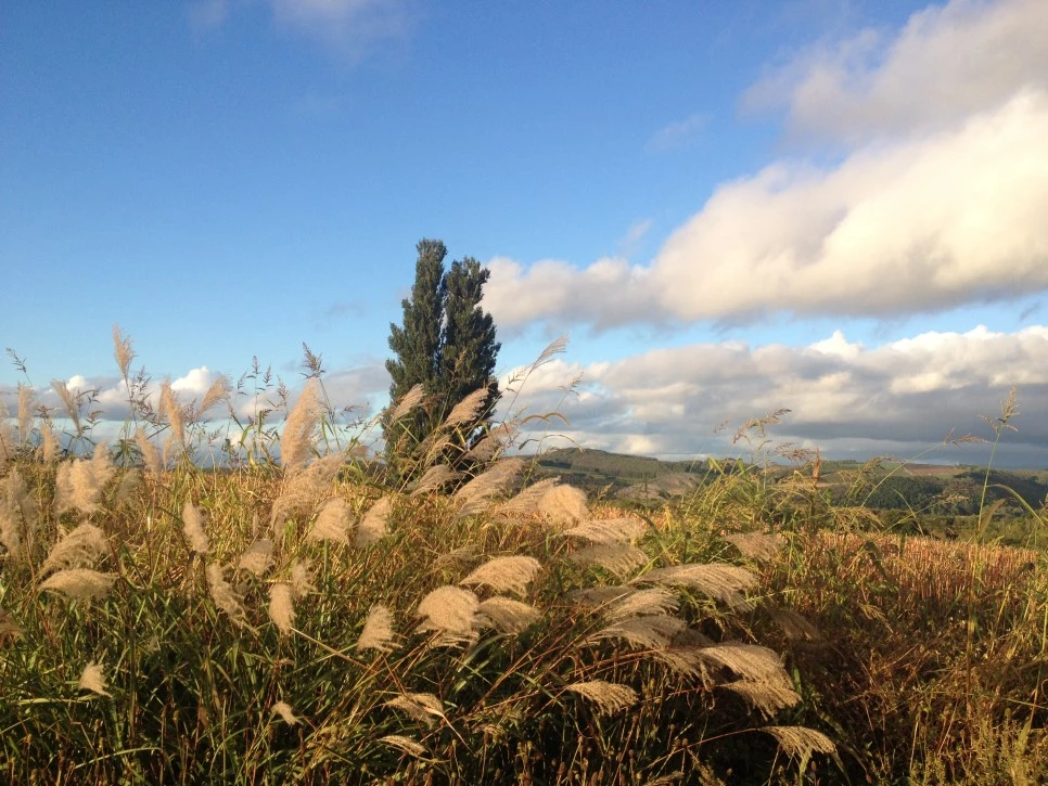 IMG_6696.JPG?type=w966