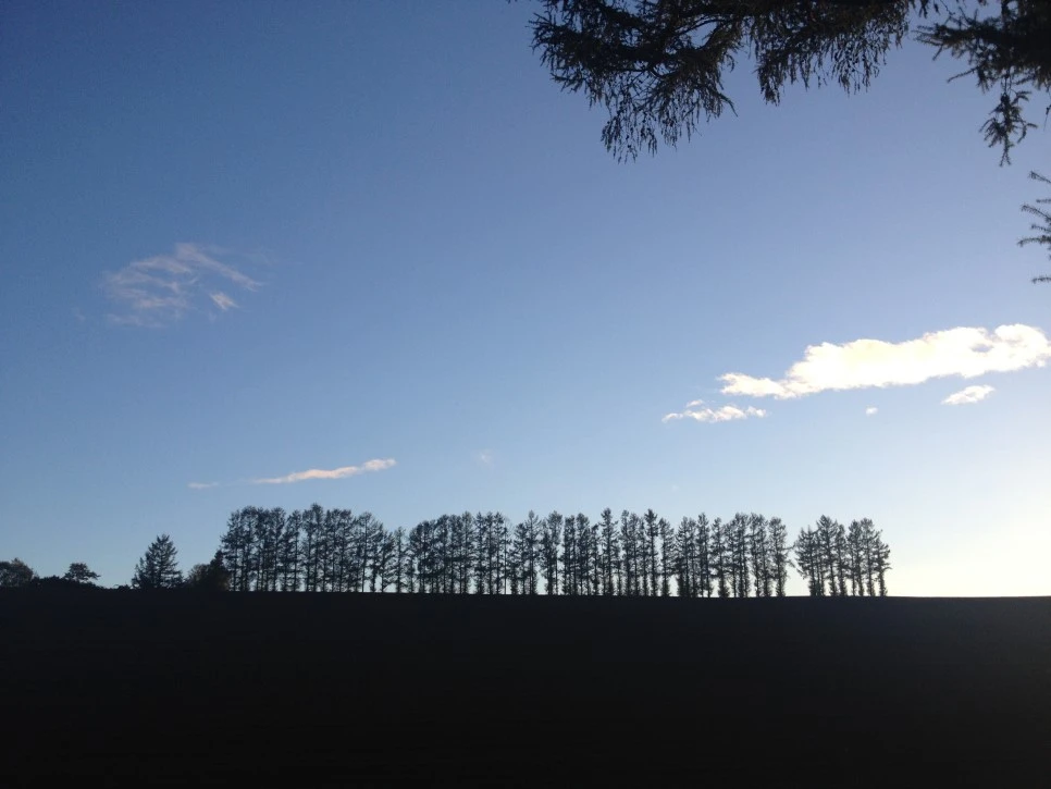 IMG_6702.JPG?type=w966