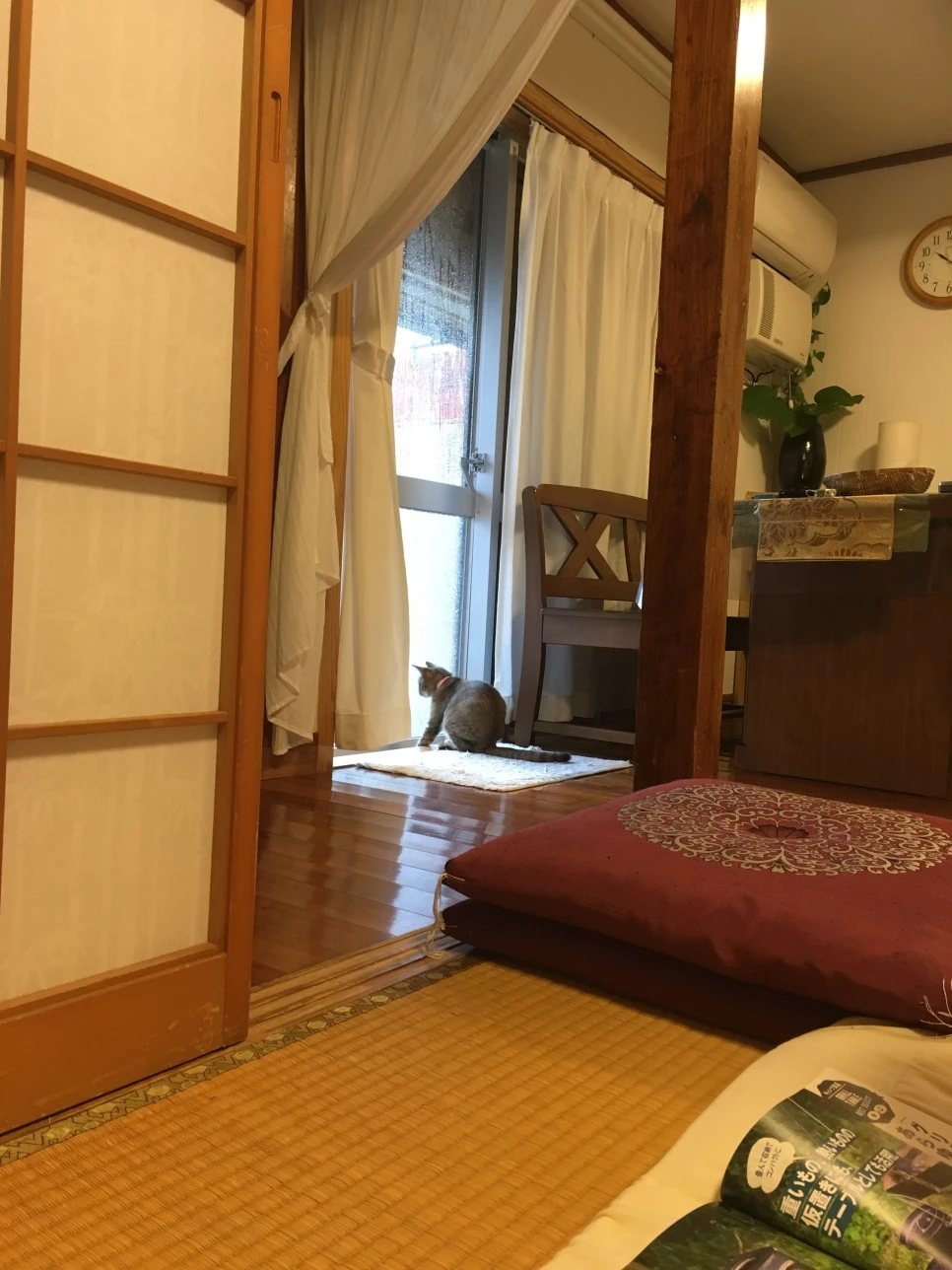 IMG_3069.JPG?type=w966