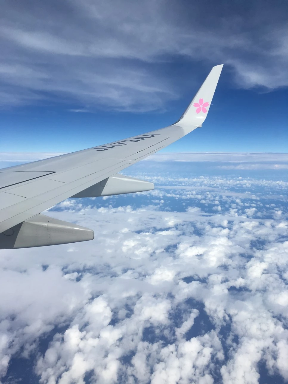 IMG_3037.JPG?type=w966