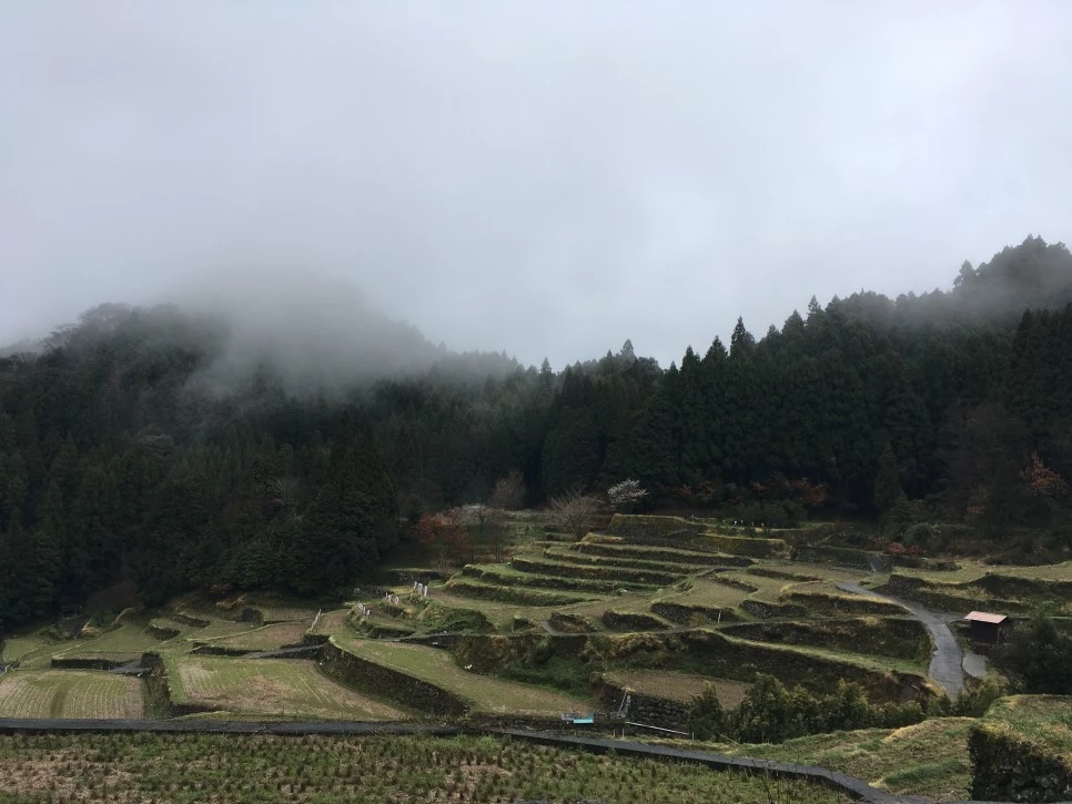 IMG_2185.JPG?type=w966