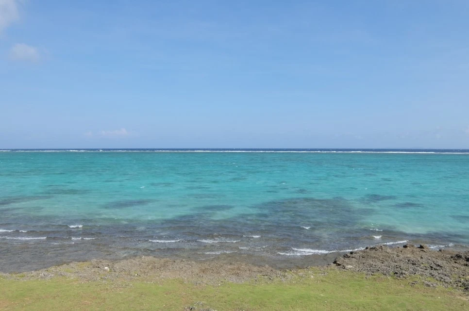 DSCF1713.JPG?type=w966