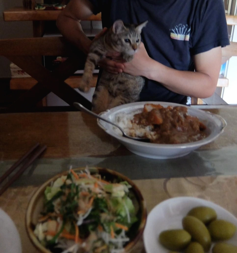 image_7723343611539418106434.jpg?type=w966