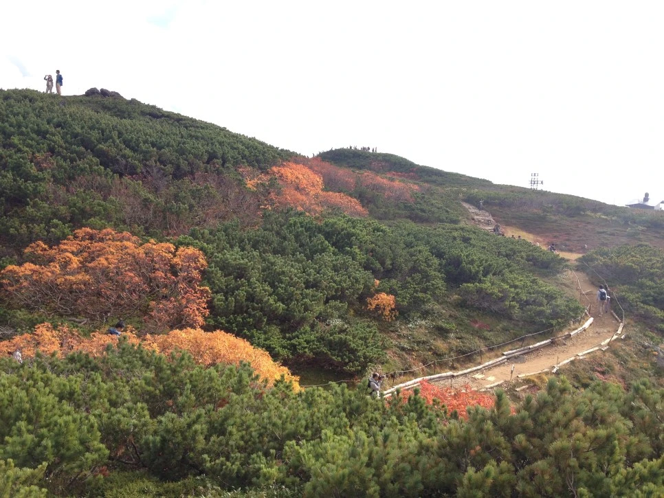 IMG_6768.JPG?type=w966