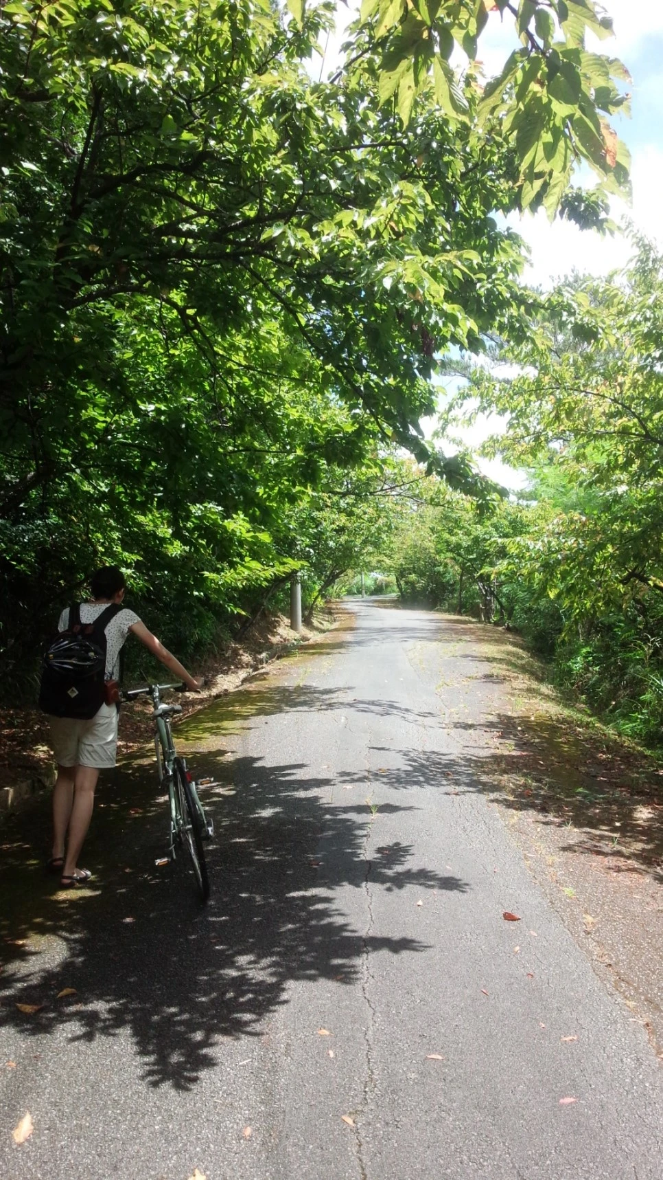 2016-08-26_12.07.56.jpg?type=w966