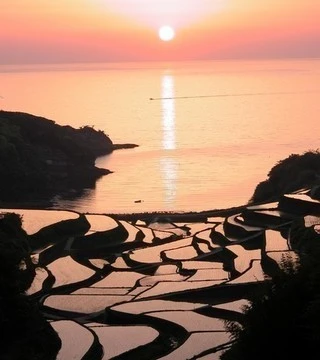 000000167_013.jpg?type=w966