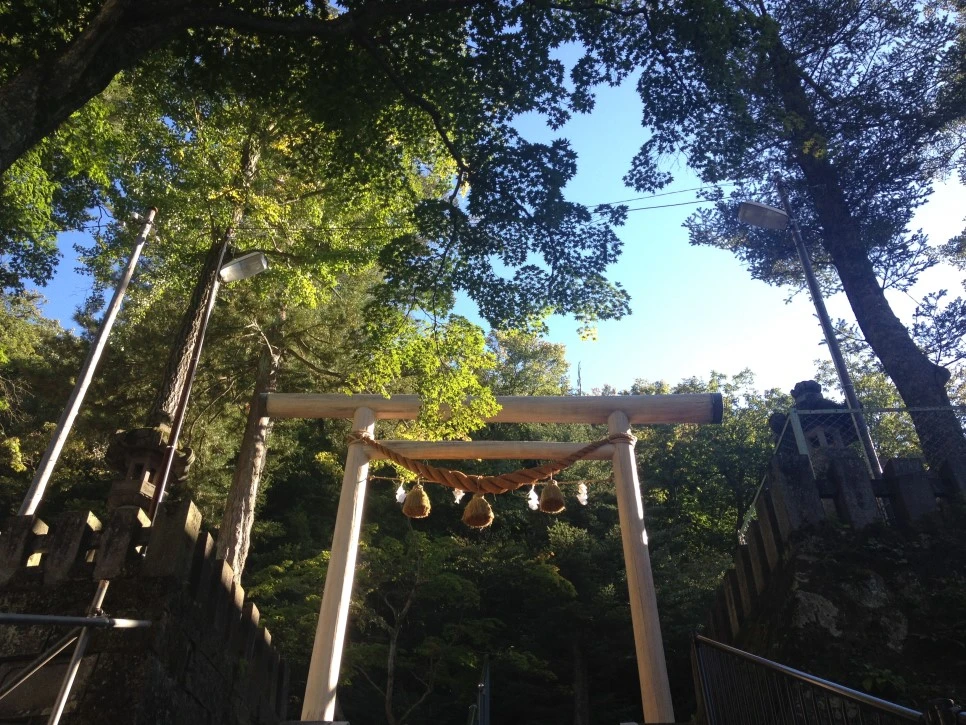 IMG_6957.JPG?type=w966