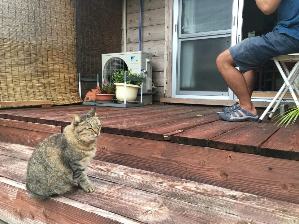 IMG_3085.JPG?type=w966