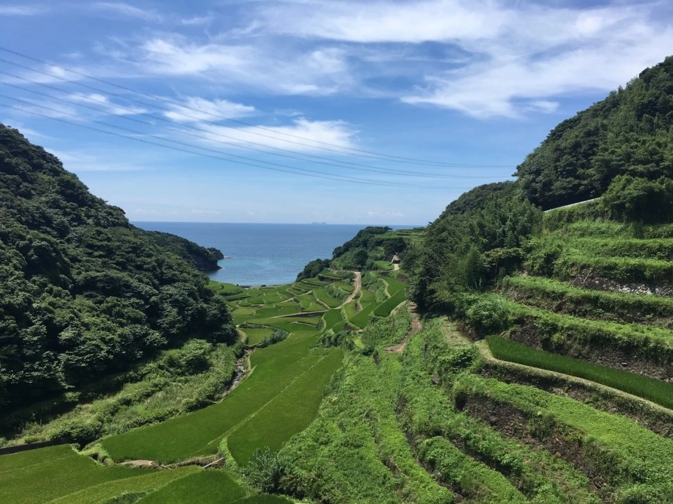 2017.07_%E4%B9%9D%E5%B7%9E_57.jpg?type=w966