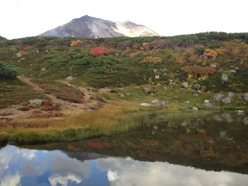 IMG_6763.JPG?type=w966