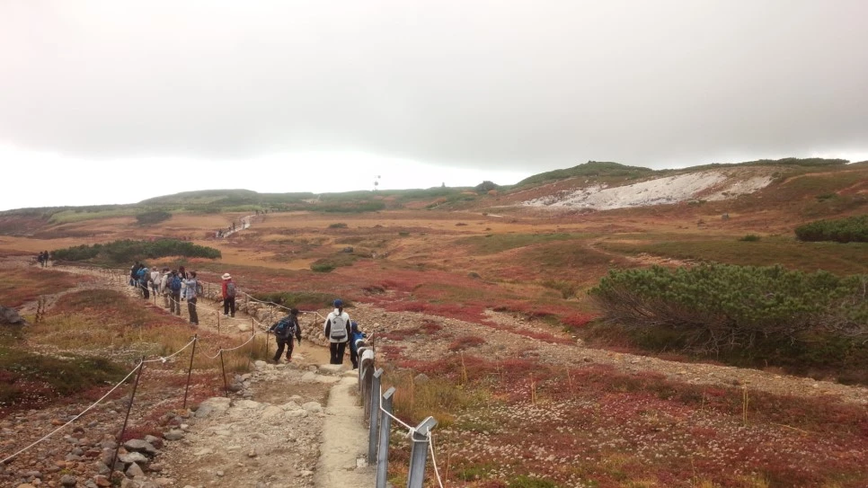 IMG_20150921_162643.jpg?type=w966