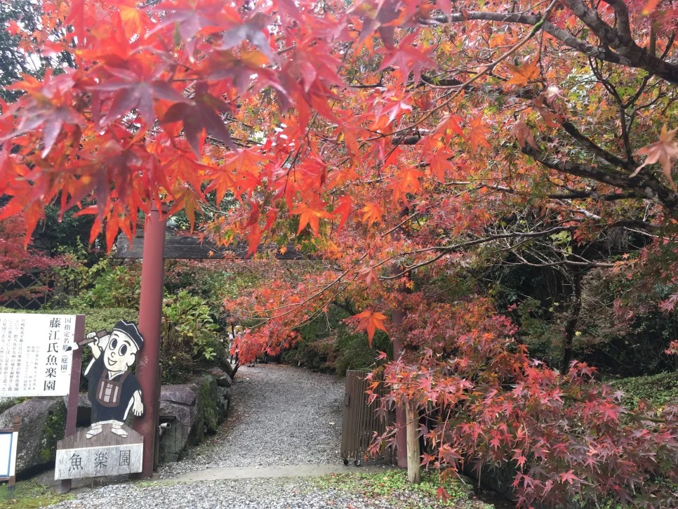 IMG_1578.JPG?type=w966