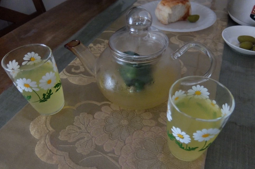 DSCF4271.JPG?type=w966