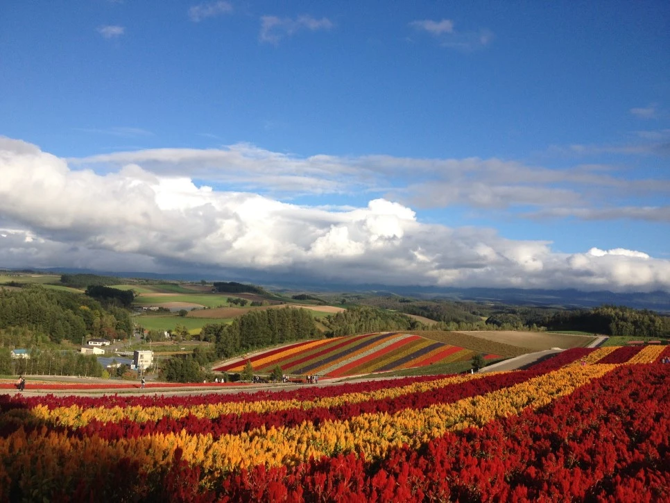 IMG_6691.JPG?type=w966