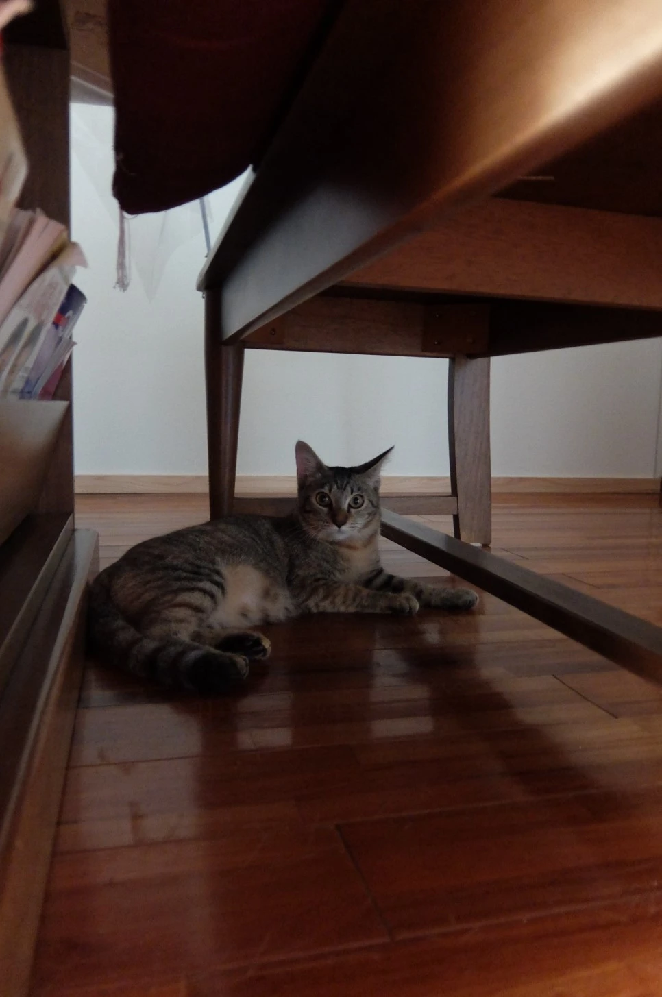 DSCF4270.JPG?type=w966