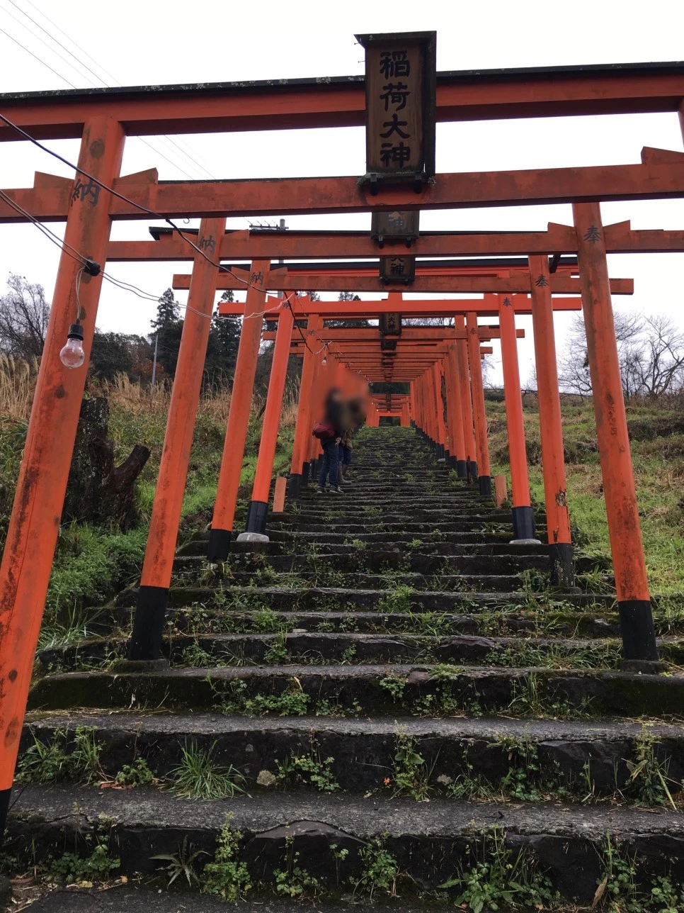 image_9804865051539500764484.jpg?type=w966