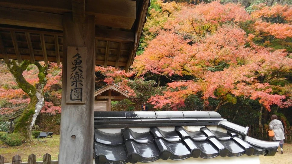 IMG_1647.JPG?type=w966