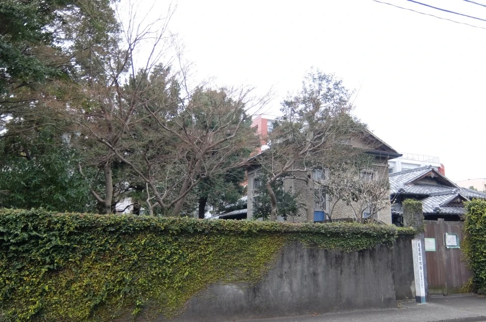 DSCF3526.JPG?type=w966