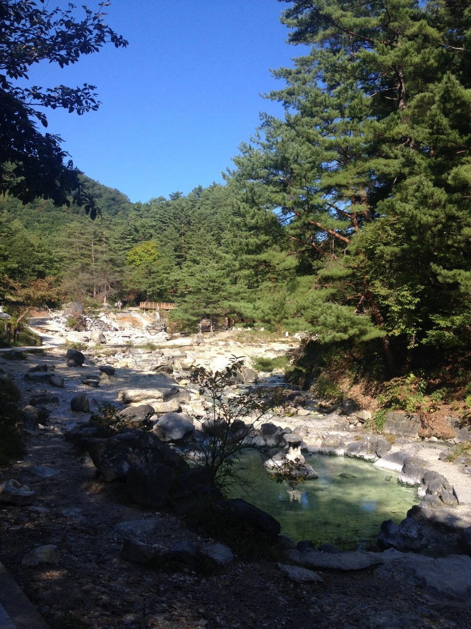 IMG_6901.JPG?type=w966