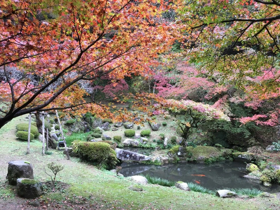 IMG_1588.JPG?type=w966