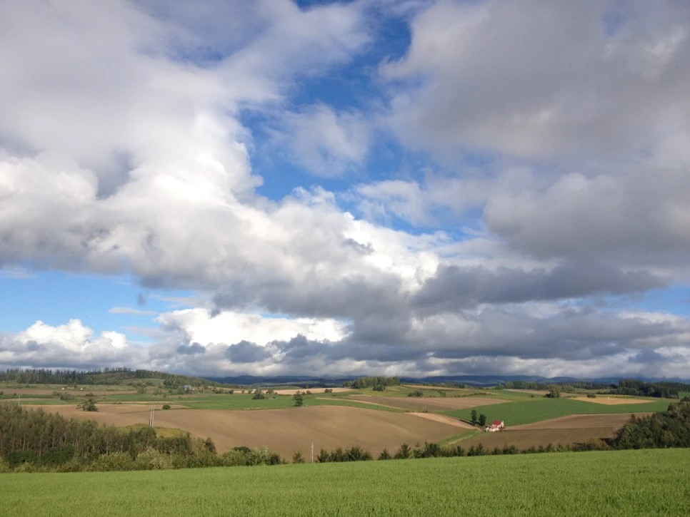 IMG_6685.JPG?type=w966