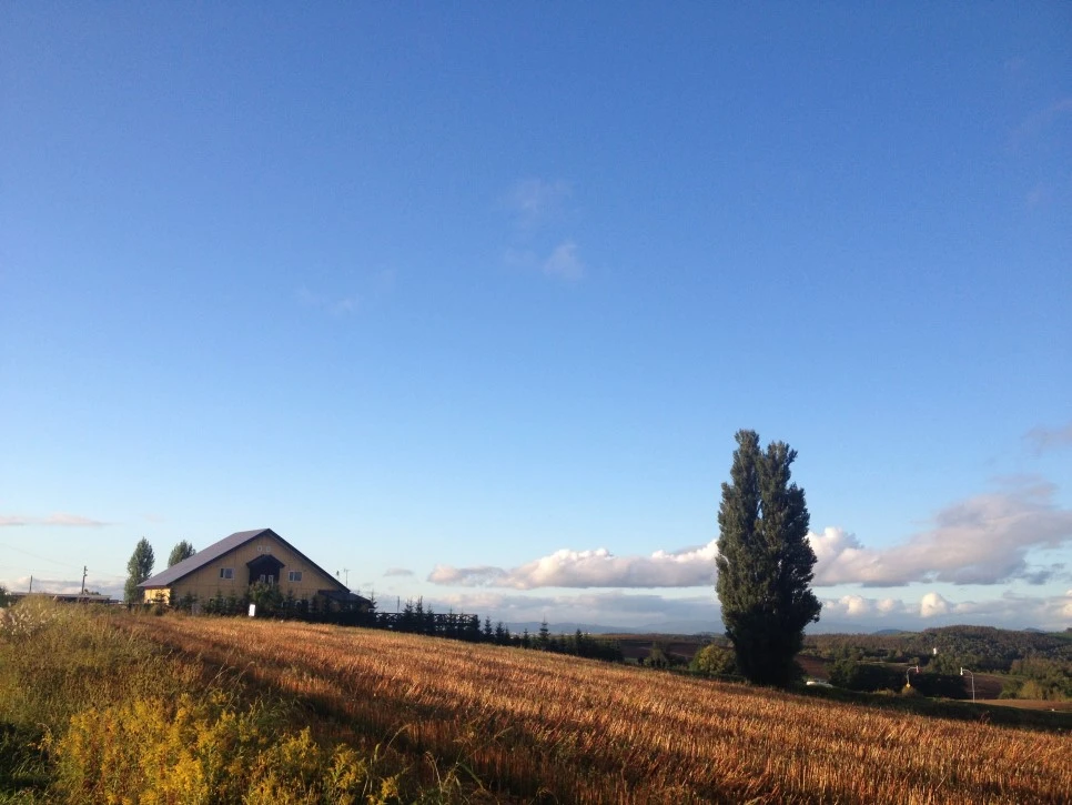 IMG_6697.JPG?type=w966