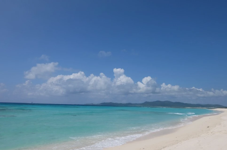 DSCF1641.JPG?type=w966