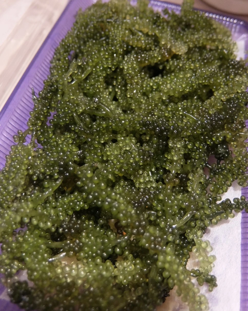 image_6481658701539430289571.jpg?type=w966