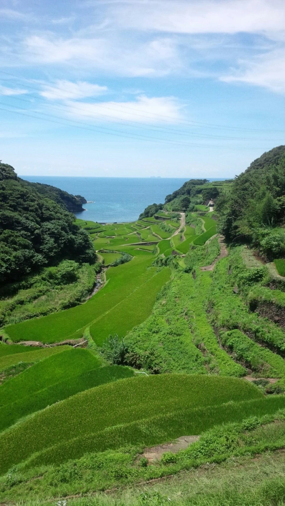 2017.07_%E4%B9%9D%E5%B7%9E_15.jpg?type=w966