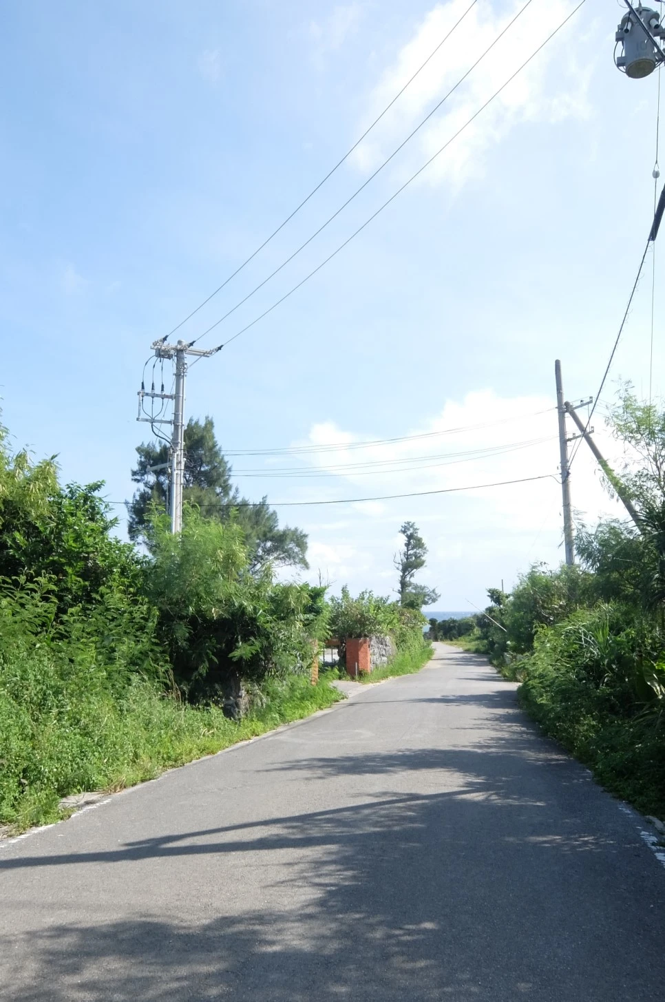 DSCF1698.JPG?type=w966