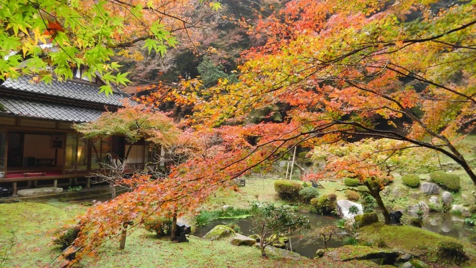 IMG_1648.JPG?type=w966