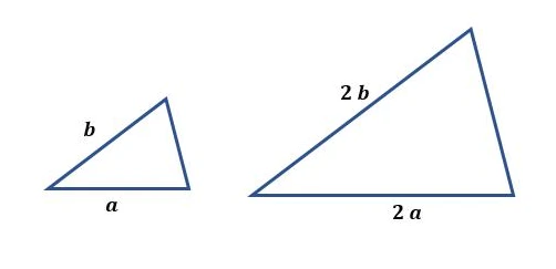 2022-07-18 09;53;13.PNG