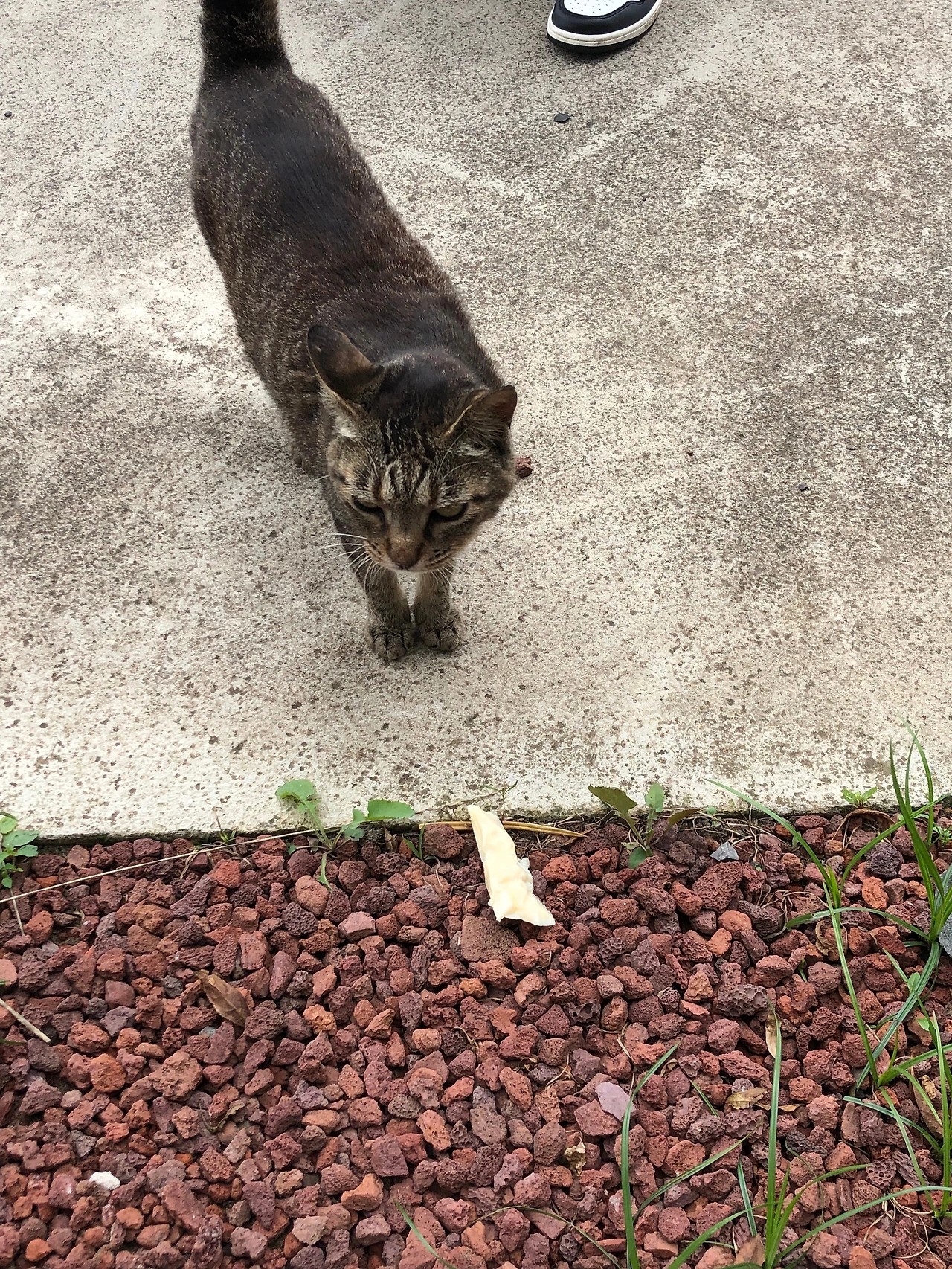 KakaoTalk_Photo_2021-07-15-00-13-53 006.jpeg