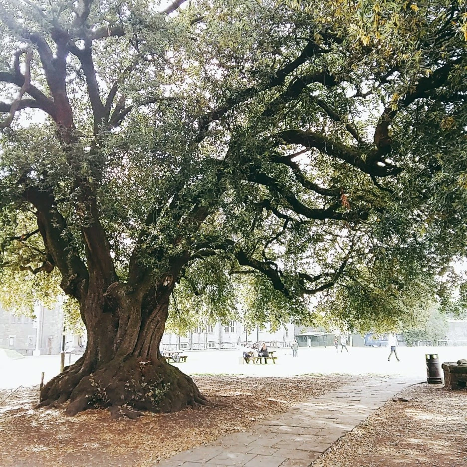 2019-05-26-18-56-38.jpg?type=w1