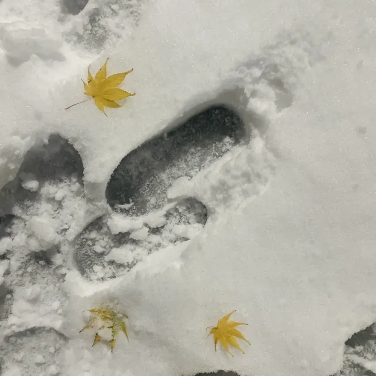 IMG_6387.JPG?type=w773