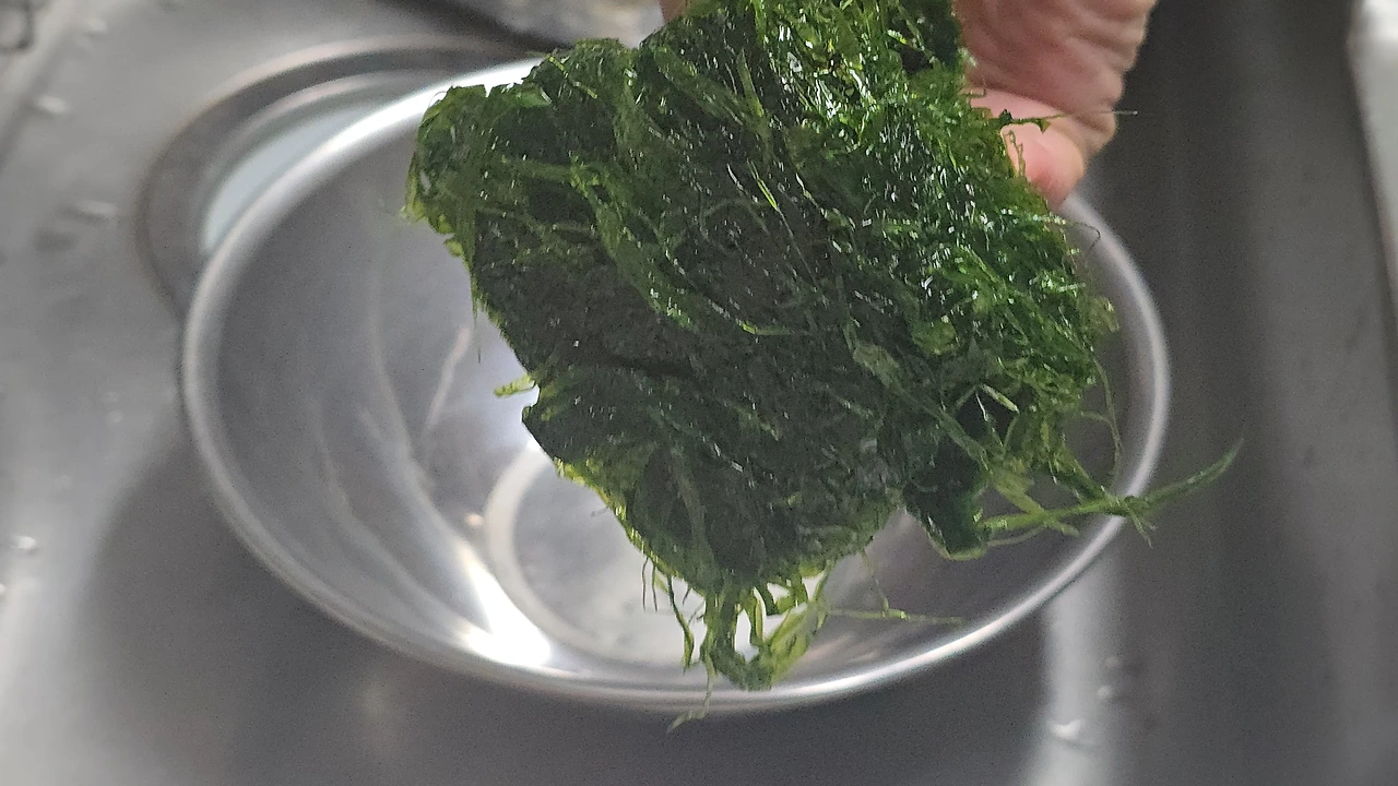 img.jpg?credential=yqXZFxpELC7KVnFOS48ylbz2pIh7yKj8&expires=1767193199&allow_ip=&allow_referer=&signature=0Y2JBRnZjQvSWXlBvT5QcPhecFA%3D