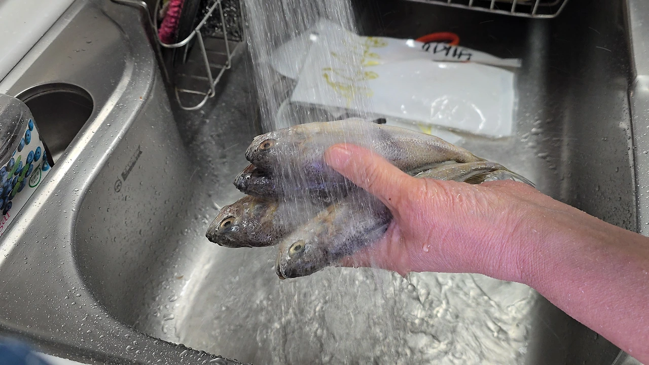 img.jpg?credential=yqXZFxpELC7KVnFOS48ylbz2pIh7yKj8&expires=1764514799&allow_ip=&allow_referer=&signature=dDdMy2j6ynvYBtD0mUrULUgnC5w%3D