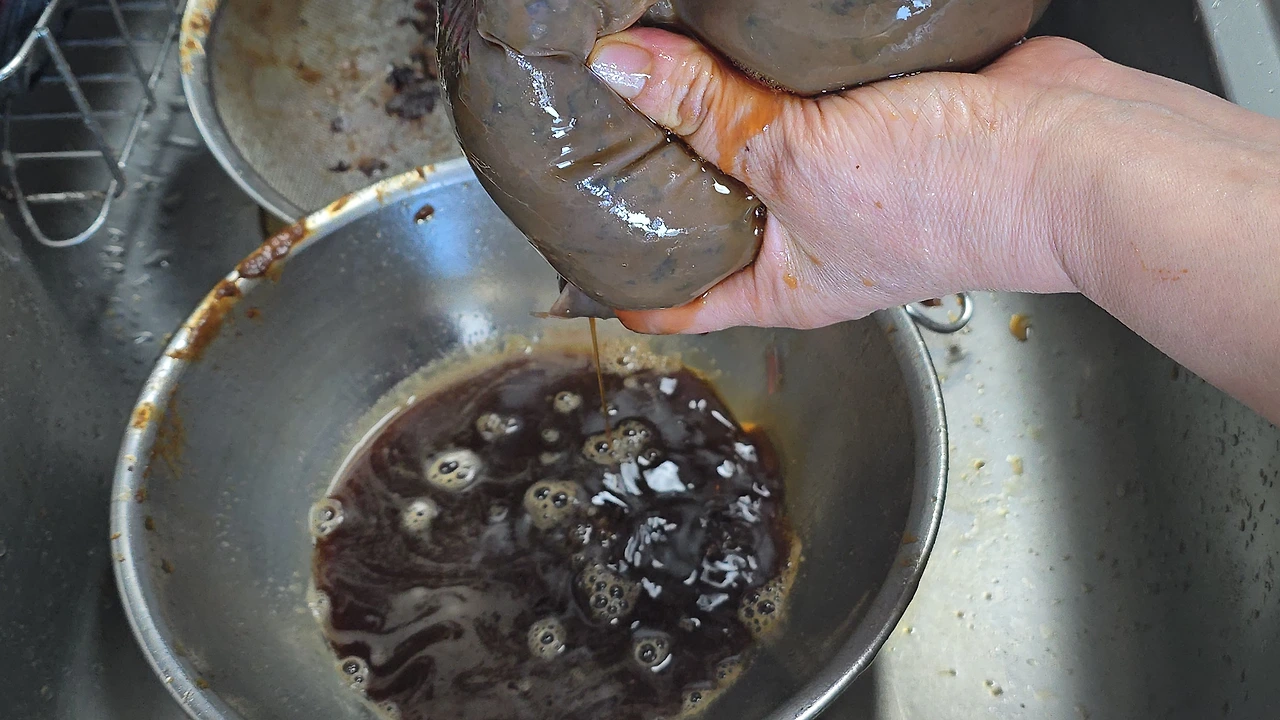 img.jpg?credential=yqXZFxpELC7KVnFOS48ylbz2pIh7yKj8&expires=1767193199&allow_ip=&allow_referer=&signature=h1PTBUey5123THiehTWmCCPHEDY%3D