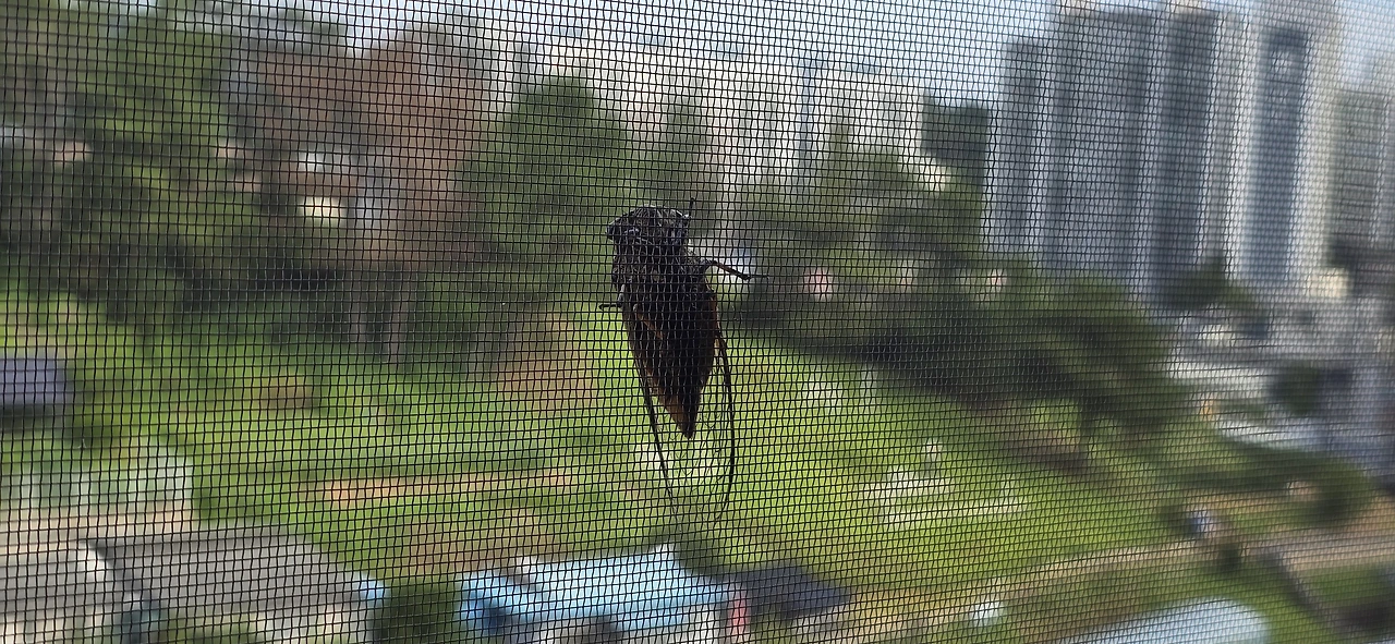 img.jpg?credential=yqXZFxpELC7KVnFOS48ylbz2pIh7yKj8&expires=1759244399&allow_ip=&allow_referer=&signature=5P8RxeOjAu7HR9fmRufxc%2BJK7qo%3D