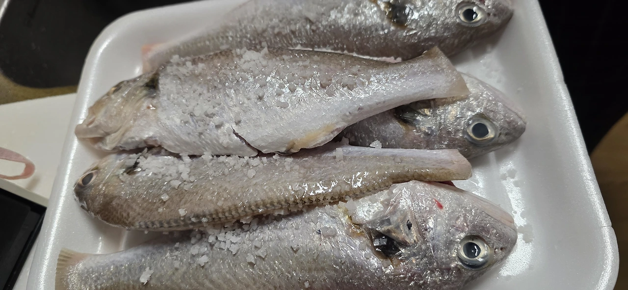 img.jpg?credential=yqXZFxpELC7KVnFOS48ylbz2pIh7yKj8&expires=1767193199&allow_ip=&allow_referer=&signature=xsl5iFpK6sxjPKqWwcy7DsZMi5I%3D